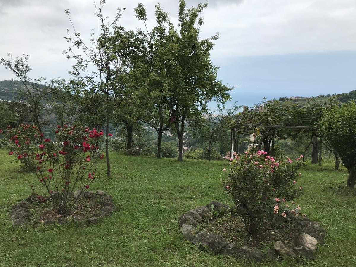 Sea & Nature Villa Hisar Trabzon Exterior foto